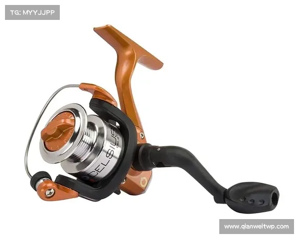 钓鱼攻击影响Celsius破产索赔者 媒体